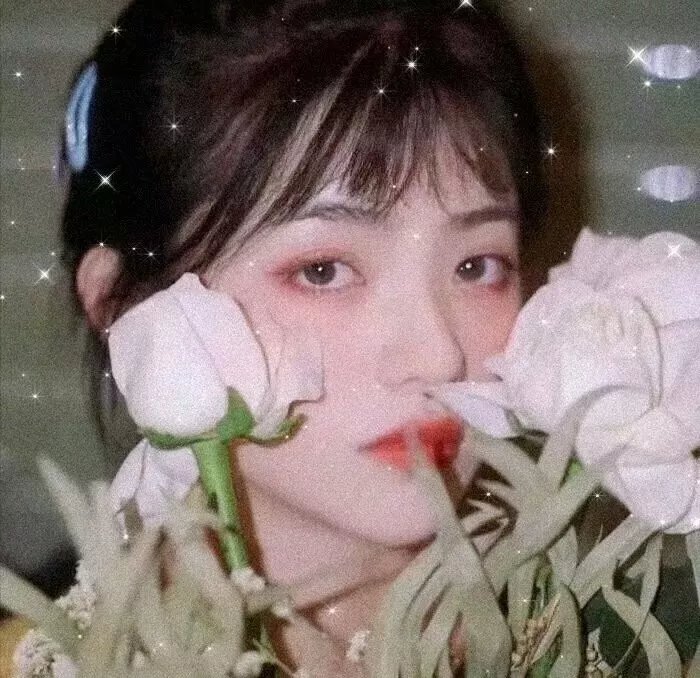 影子与谎言